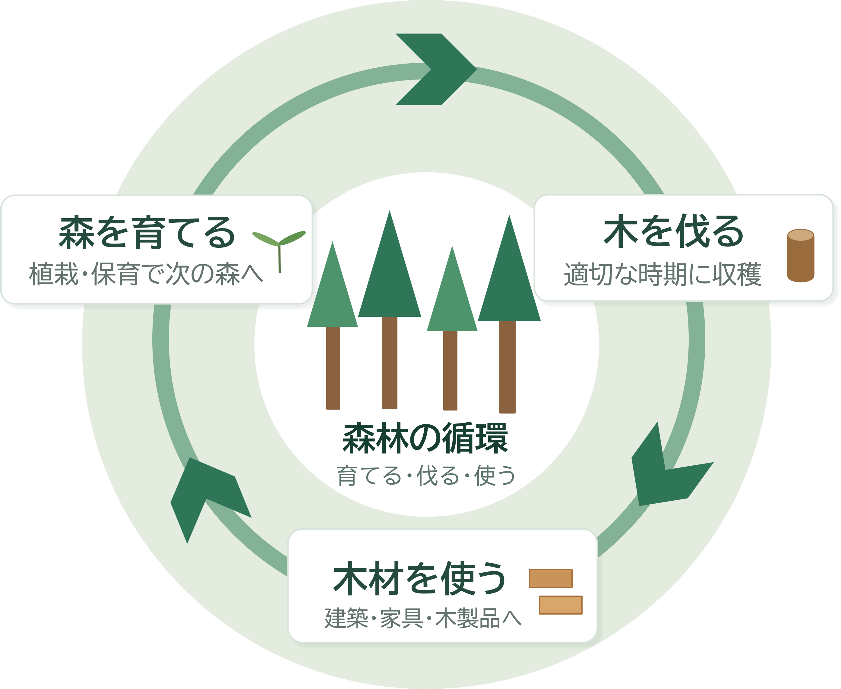 森林循環図ver2
