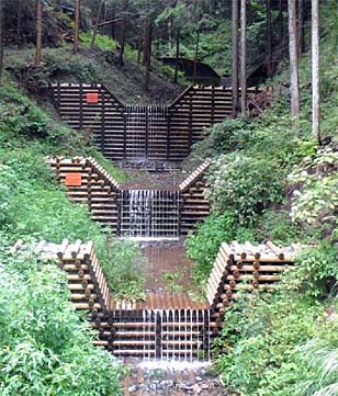 治山事業 東京都森林事務所