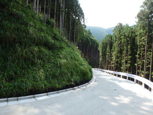 令和元年度梅沢寸庭林道開設工事が令和2年11月に完了しました。