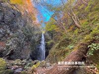 2025年11月　冬待つ百尋