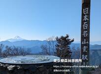 2025年3月 雲取山からの景色