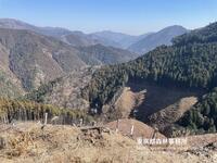 2026年2月　これまでとこれから