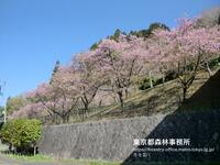 2026年3月　冬を裂く