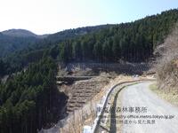 2026年4月　坂東沢丹田林道から見た風景