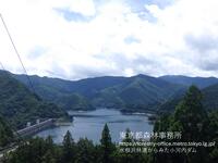 2026年5月　水根沢林道からみた小河内ダム