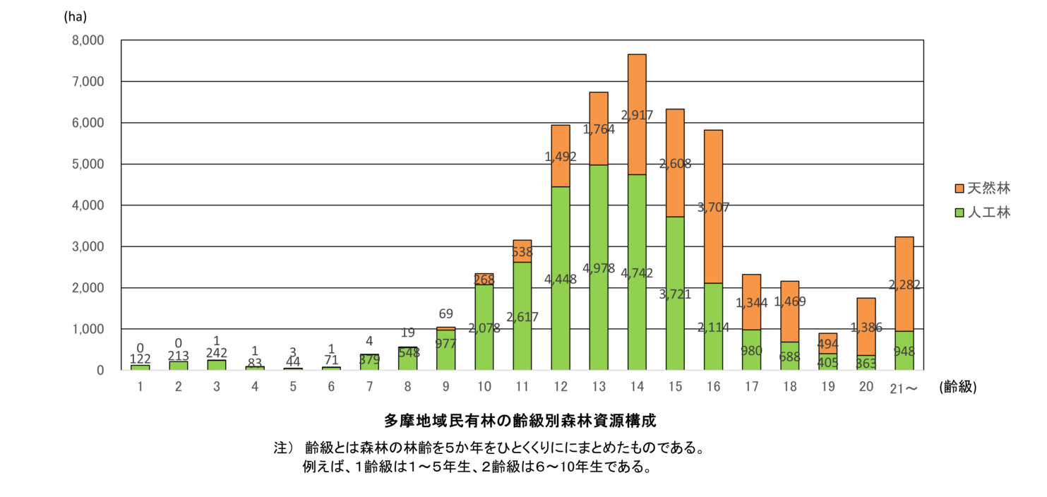 令和７年版齢級別森林資源構成