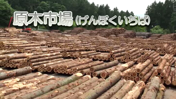 原木市場で伐採